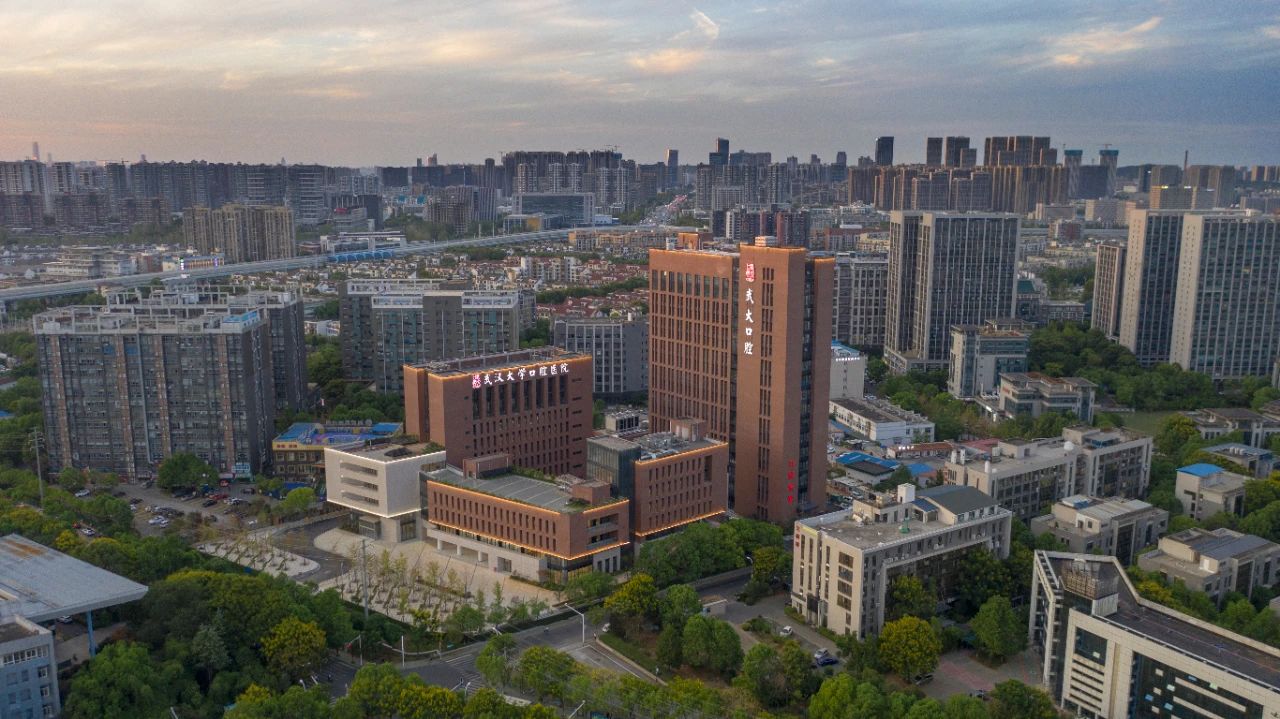 武大口腔全景圖1 武大口腔全景圖1